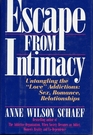 Escape from Intimacy The PseudoRelationship Addictions  Untangling the Love Additions  Sex Romance Relationships
