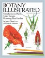 Botany Illustrated Introduction to Plants Major Groups Flowering Plant Families