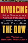 Divorcing the Dow Using Revolutionary Market Indicators to Profit from the Stealth Boom Ahead