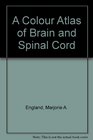 A Colour Atlas of Brain and Spinal Cord