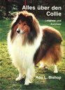 All About the Collie