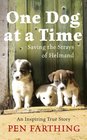 One Dog at a Time Saving the Strays of Helmand  An Inspiring True Story