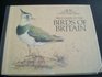 READERS DIGEST FIELD GUIDE TO THE BIRDS OF BRITAIN