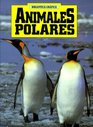 Animales Polares/Polar Animals