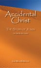 Accidental Christ  The Story of Jesus