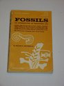 Fossils an Introduction to Prehistoric Life