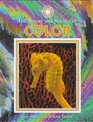 The Nature and Science of Color