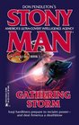 Gathering Storm (Freedom Fire, Bk 1) (Stony Man, No 76)