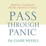 Pass Through Panic  Freeing Yourself from Anxiety and Fear