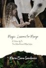 Magic Lessons for Margo A FollowUp to The Adventures of Miss Vulpe