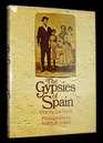 The Gypsies of Spain