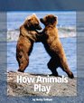 How Animals Play