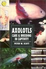 Axolotls Care  and Breeding in Captivity