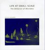 Life at Small Scale The Behavior of Microbes