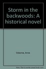Storm in the backwoods A historical novel