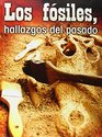 Los Fosiles Hallazgos del Pasado