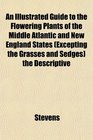An Illustrated Guide to the Flowering Plants of the Middle Atlantic and New England States  the Descriptive