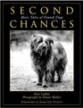 Second Chances More Tales of Found Dogs