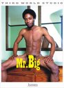Mr. Big: Third World Studio, Vol. 1