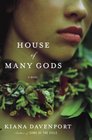House of Many Gods: A Novel