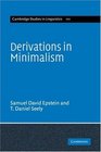 Derivations in Minimalism