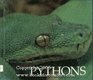 Pythons  Naturebooks Series