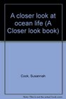 A closer look at ocean life