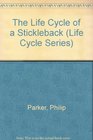 The Life Cycle of a Stickleback