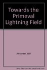 Towards the Primeval Lightning Field