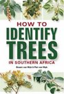 How to Identify Trees in Southern Africa