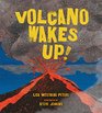 Volcano Wakes Up