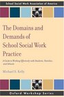 The Domains and Demands of School Social Work Practice A Guide to Working Effectively with Students Families and Schools