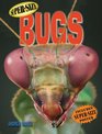 SuperSize Bugs
