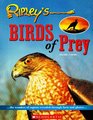 Ripley's Birds of Prey