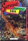 Survival Could You Be a Fox