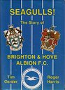 Seagulls the Story of Brighton  Hove Albion FC