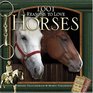 1001 Reasons to Love Horses