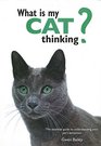 What is My Cat Thinking The essential guide to understanding your pet's behavior