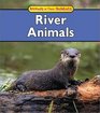 River Animals