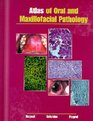 Atlas of Oral and Maxillofacial Pathology