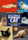 Guide to Owning A Birman Cat