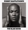 Robert Mapplethorpe The Black Book