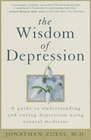 The Wisdom of Depression  A Guide to Understanding and Curing Depression Using Natural Medicine