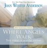 Where Angels Walk True Stories of Heavenly Visitors
