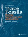 Trace Fossils