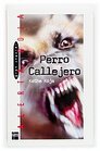 Perro Callejero/ Stray Dog