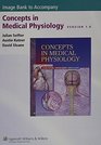 Concepts in Medical Physiology Version 10