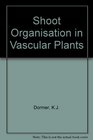 Shoot organization in vascular plants