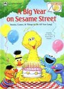 A Big Year On Sesame Street