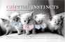 Caternal Instincts: The Feline Guide to Mastering Motherhood